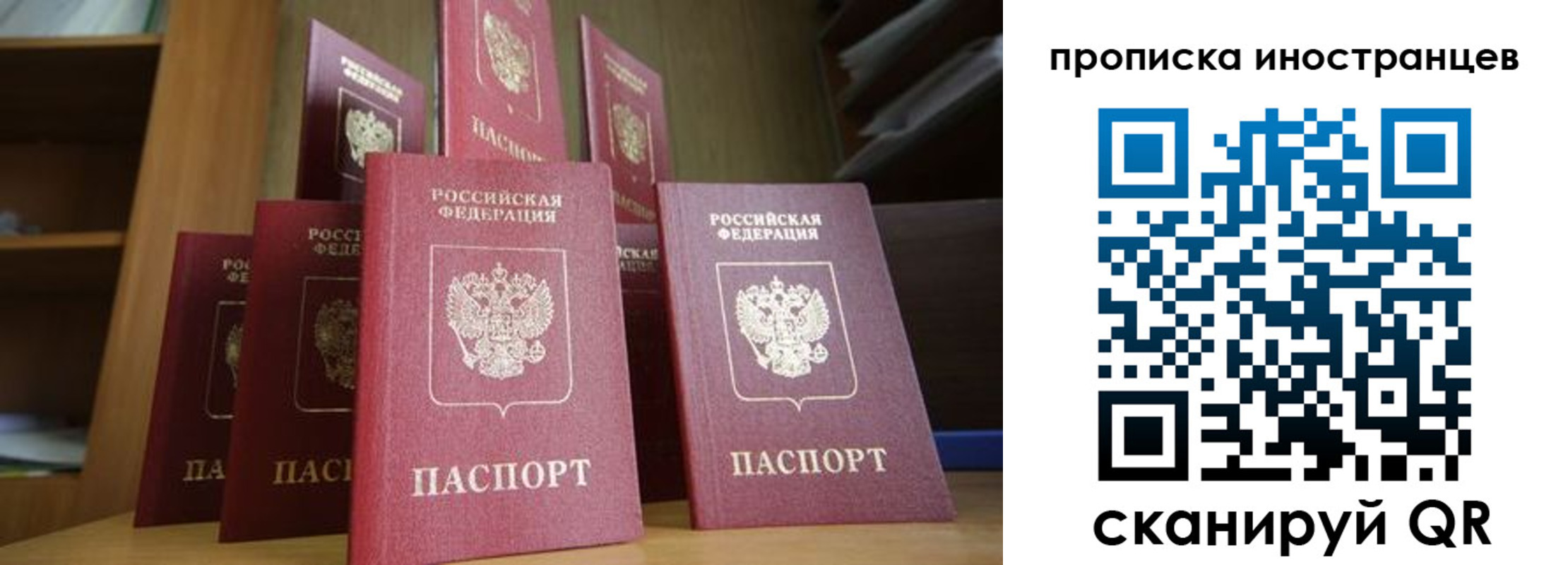 временная прописка в Щёкино